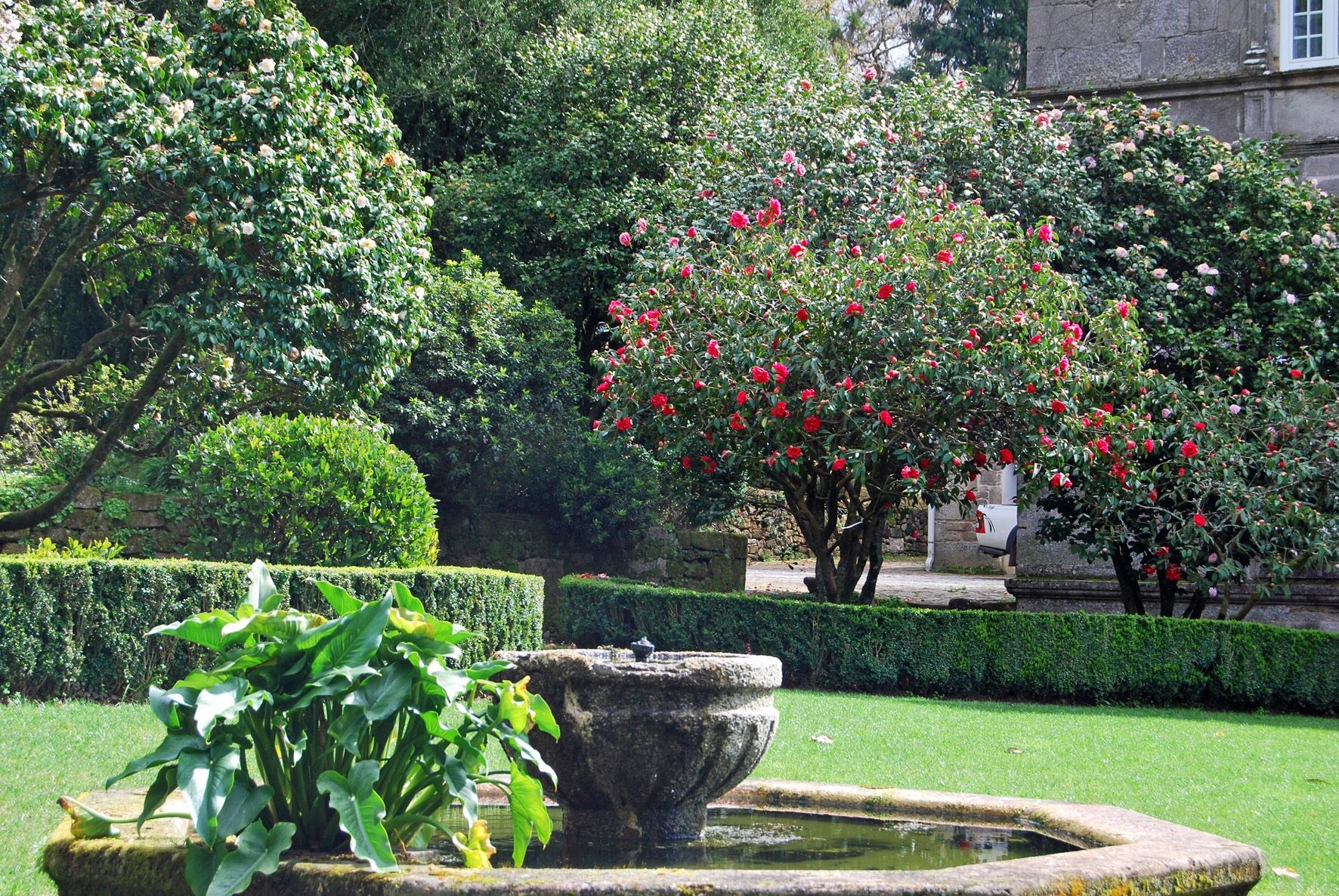 4 Pazo de Rubianes ©Ruta de las Camelias