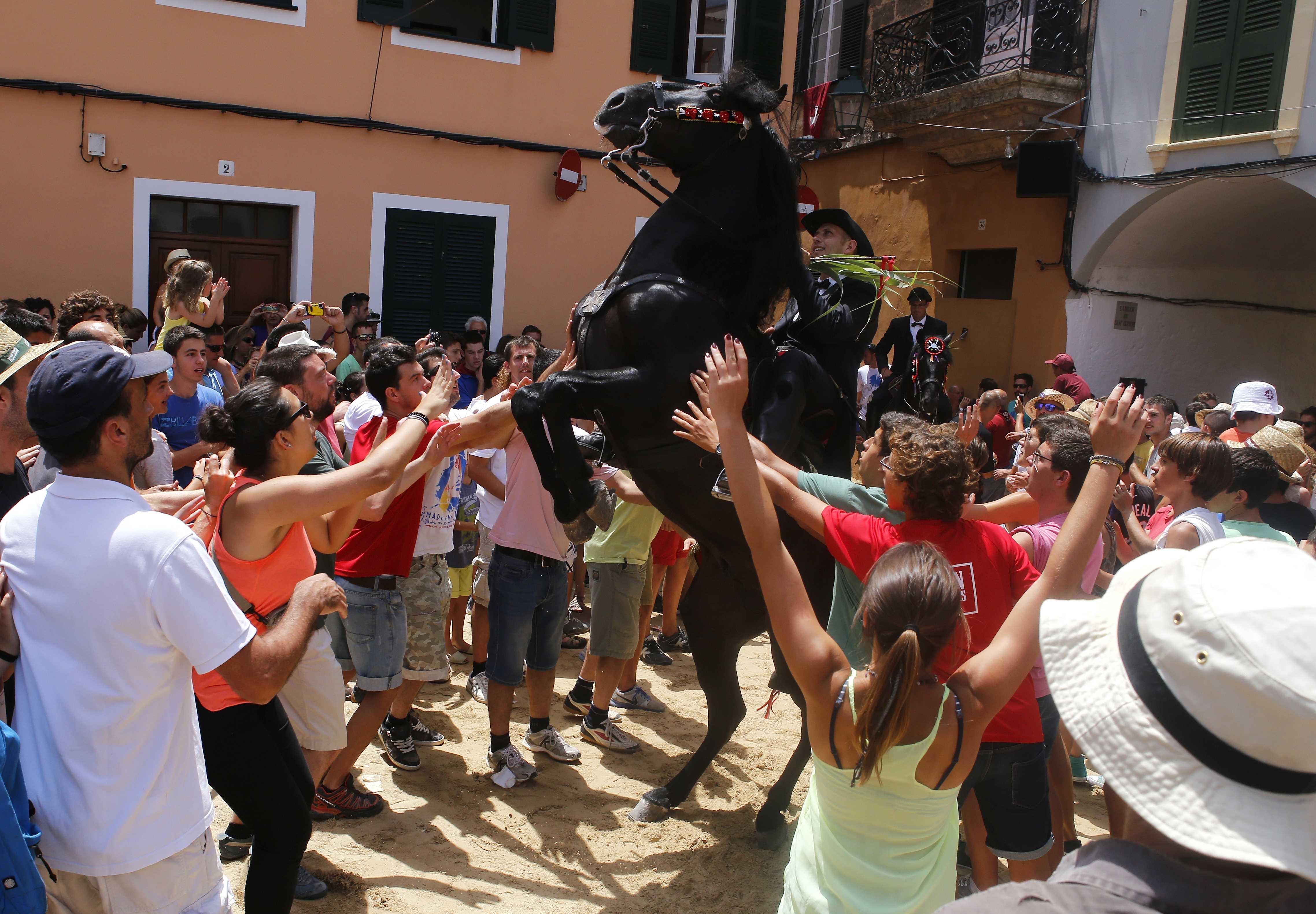 Spektakuläre Pferdevorführungen in den Straßen von Ciutadella, Menorca