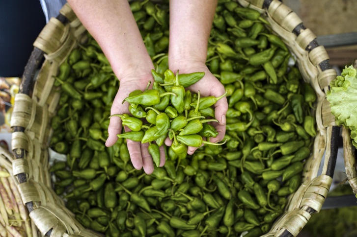 Galicien, Pimientos de Padrón