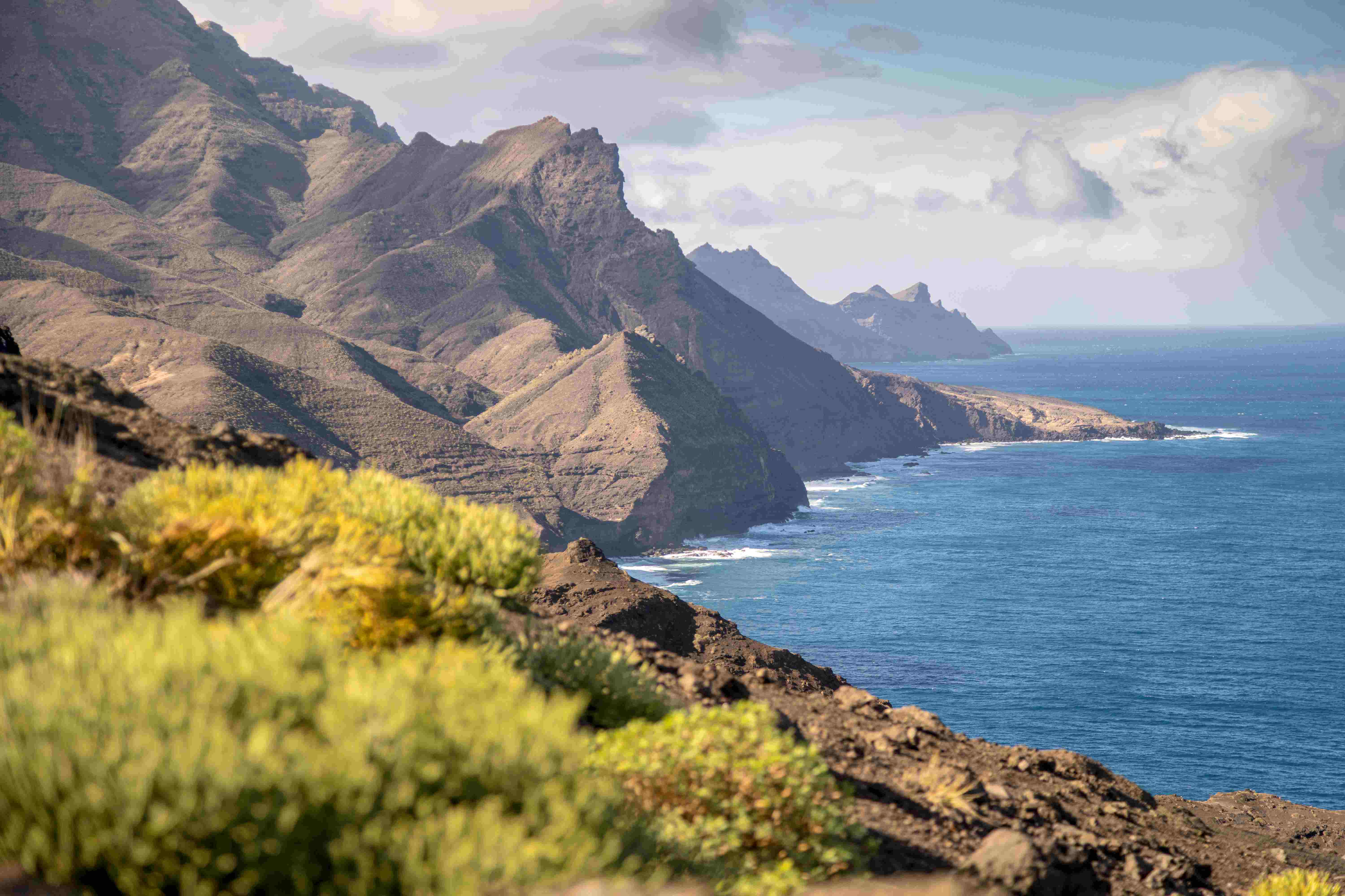 Parque Natural de Tamadaba Parque Natural de Tamadaba