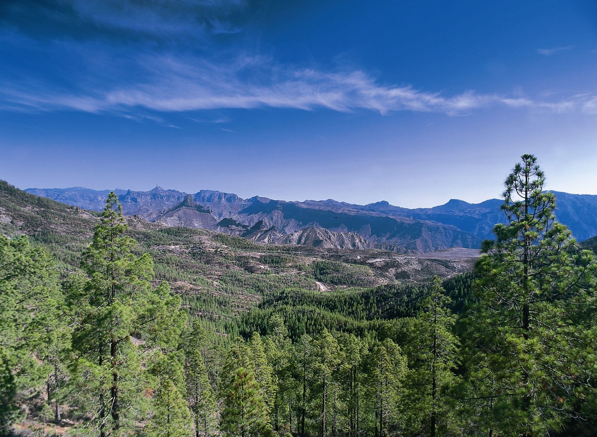 Grüne Landschaften bei Agaete. Eine Rundtour durch den Minikontinent Gran Canaria birgt Überraschungen