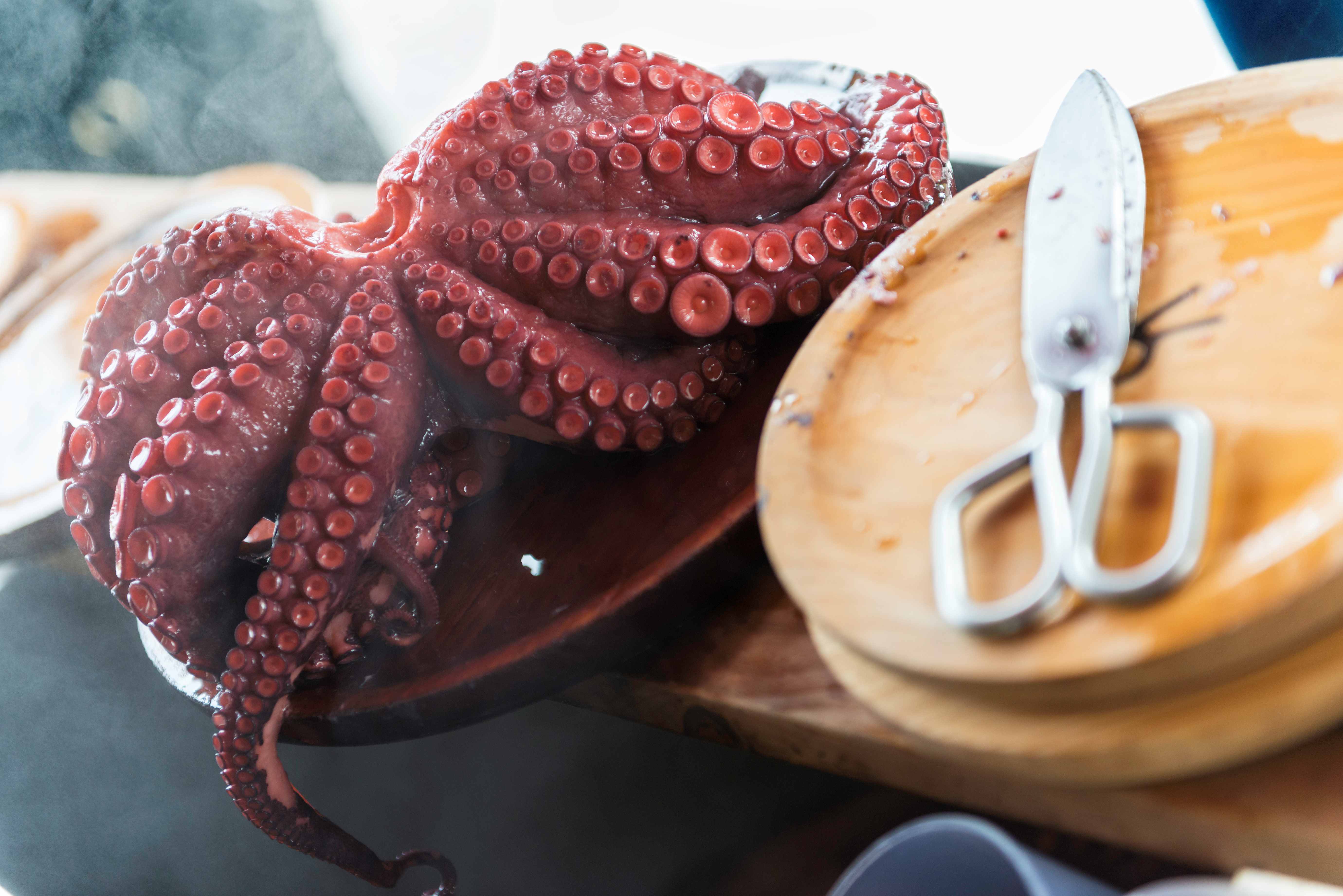 Preparación del pulpo