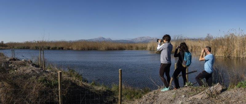 Vogelbeobachter an der Albufera 