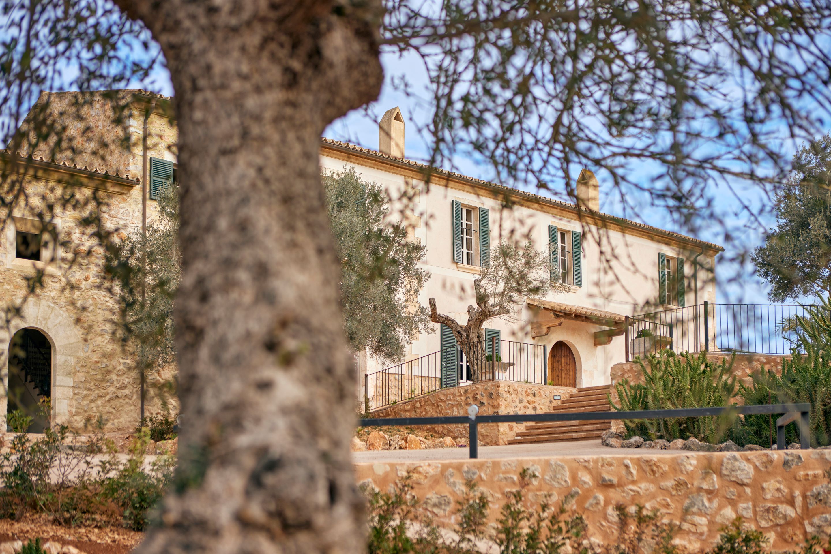 SON SABATER_GeneralView_6482_ret SON SABATER_GeneralView_6482_ret