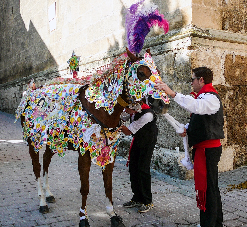 Beruhigende Worte kurz vor dem Wettbewerb am Rande des Burgbergs