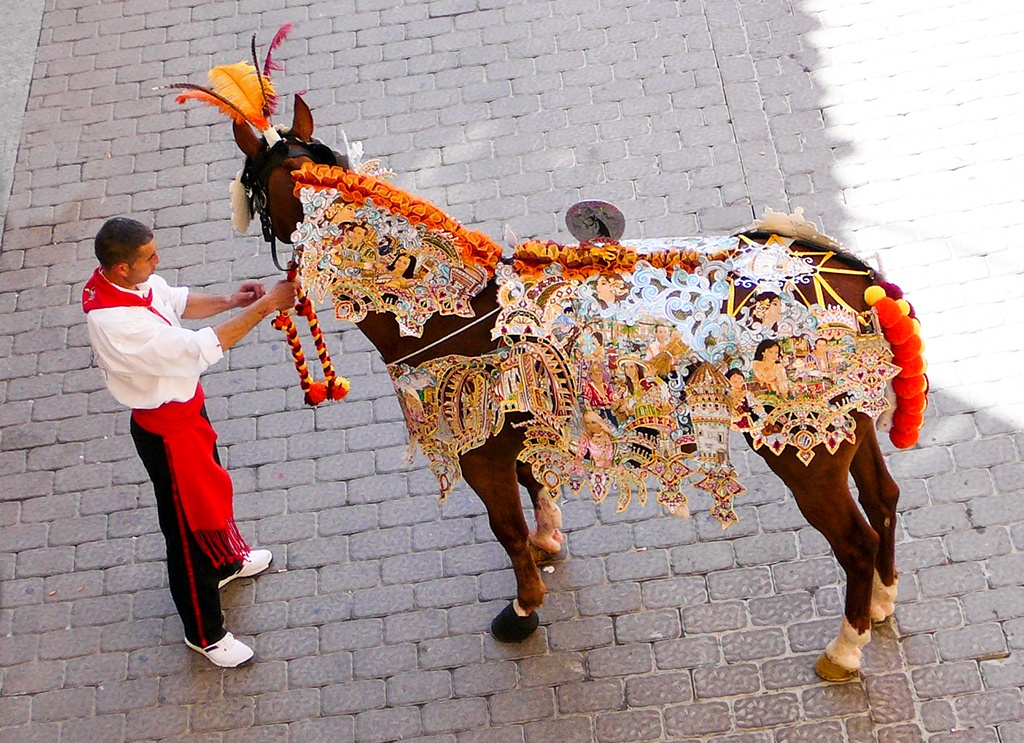 Prachtvoll anzusehen: Eines der Weinpferde in vollem Schmuck
