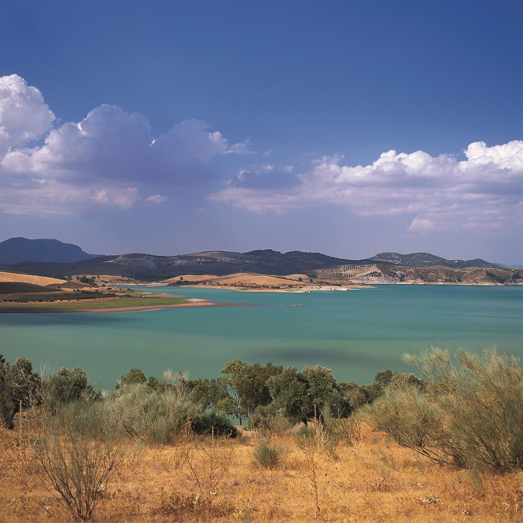Am Stausee des Guadalhorce Am Stausee des Guadalhorce