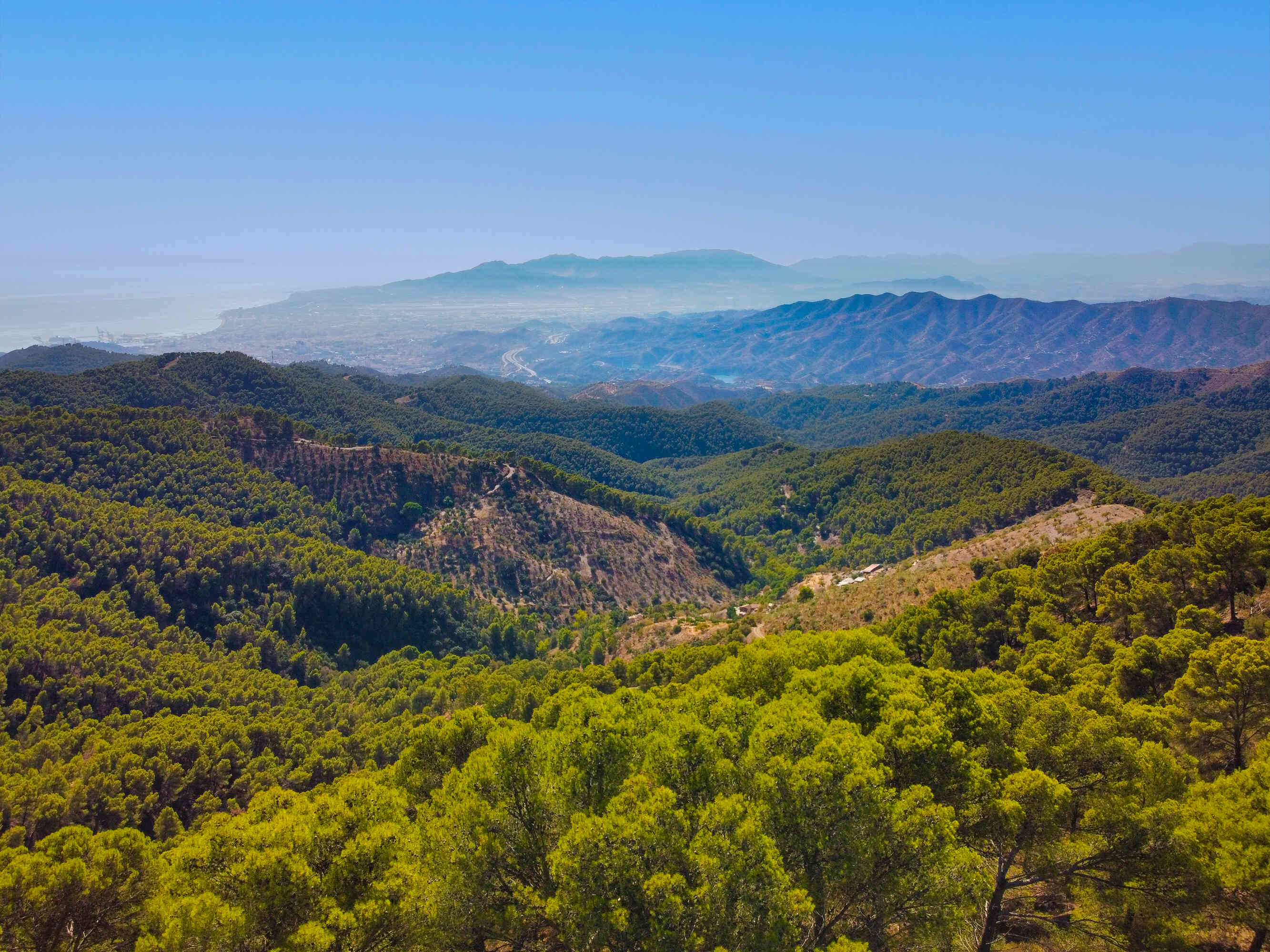 Ein Teil der "grünen Lungen" Málagas - Die Montes de Mälaga Ein Teil der "grünen Lungen" Málagas - Die Montes de Mälaga