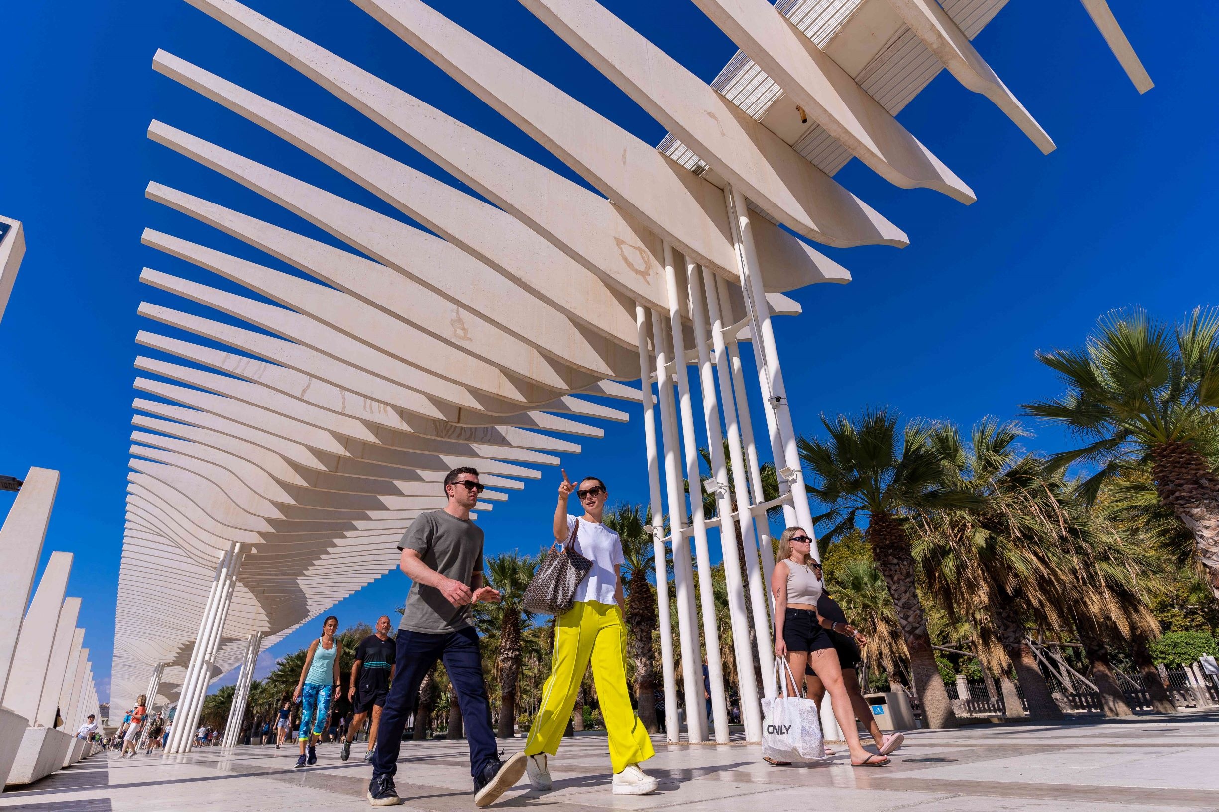 Schlendern unter Palmen - hier an der Muelle 1 Schlendern unter Palmen - hier an der Muelle 1