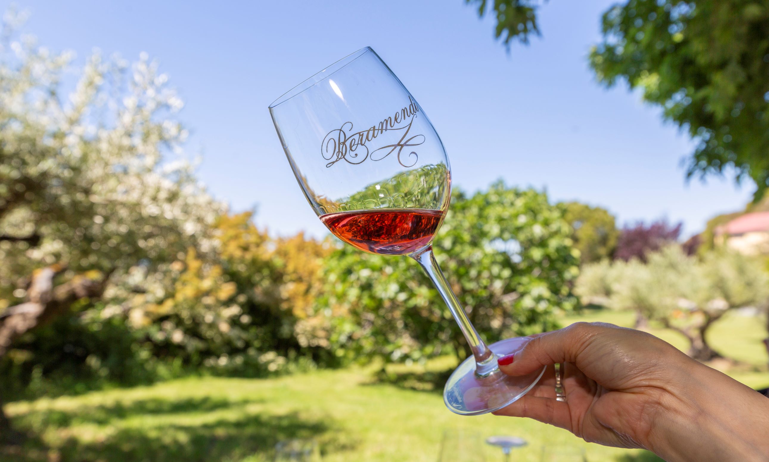 Weinprobe in den Bodegas Beramendi 