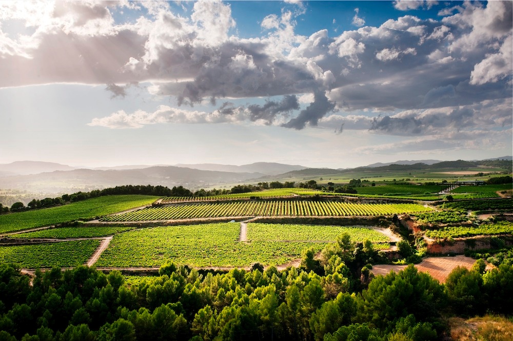 Eine faszinierende Landschaft wartet entlang der Weinroute des Penedès