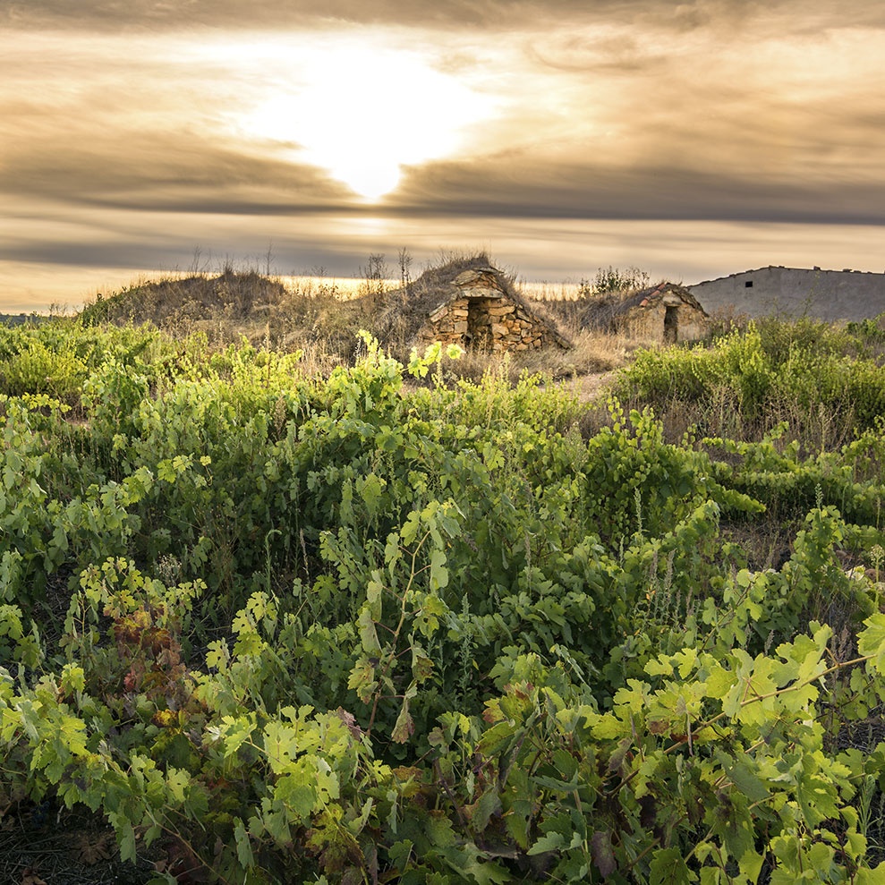 Entlang der Weinroute der D.O. Toro in der Provinz Zamora