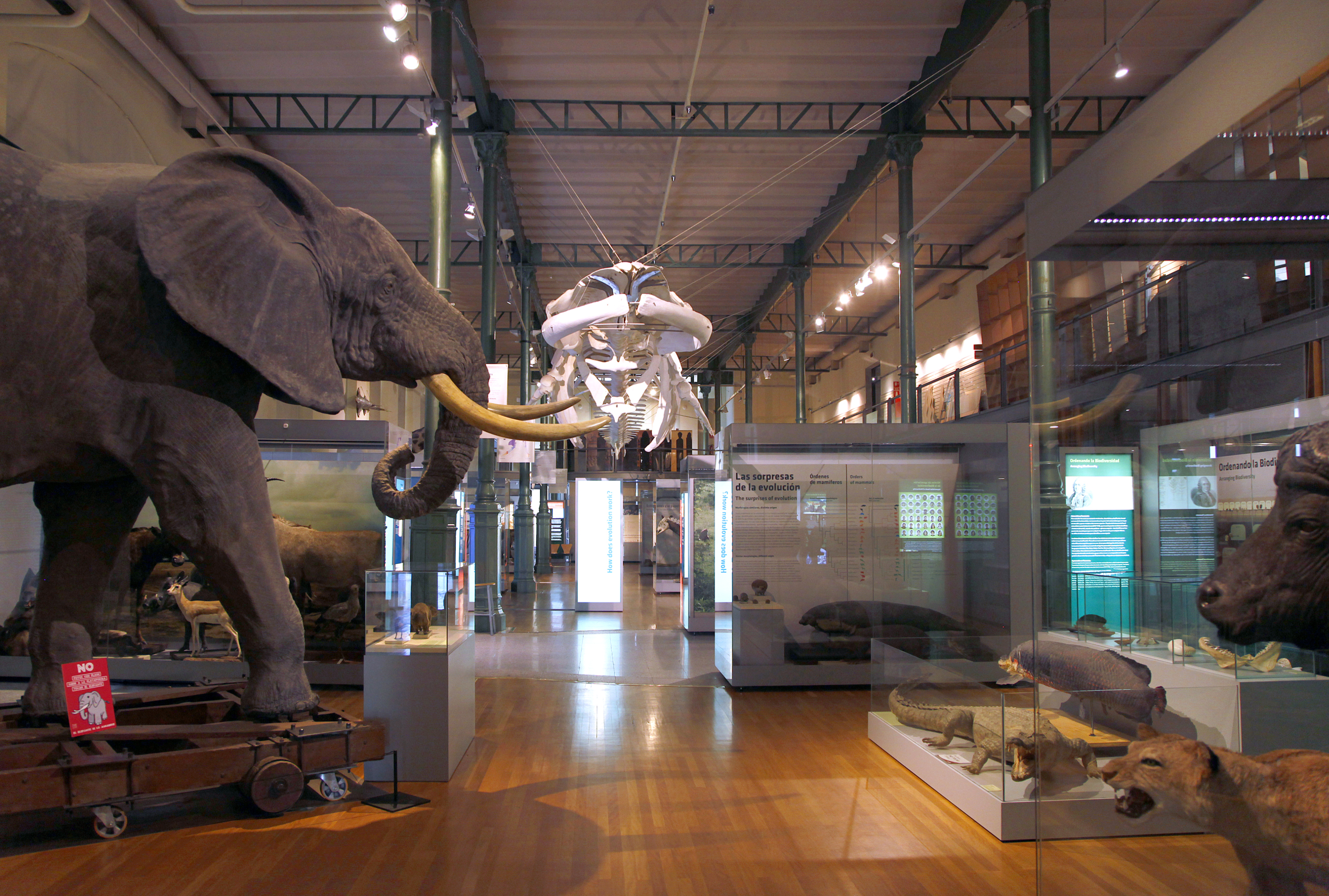 Madrid, museo_de_ciencias_naturales ©Agustín Martínez - Madrid Destino