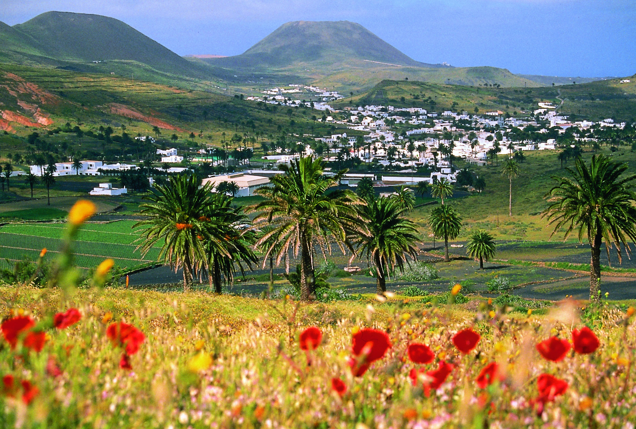 Bezaubernde Farbklekse in der Landschaft: Die Dörfer auf Lanzarote, wie hier Haría