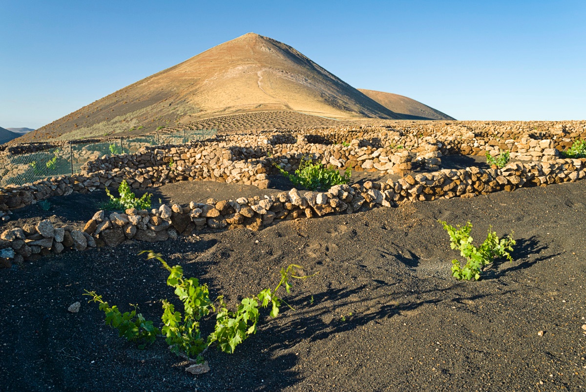 Wandern in La Geria, der Weinanbauregion von Lanzarote