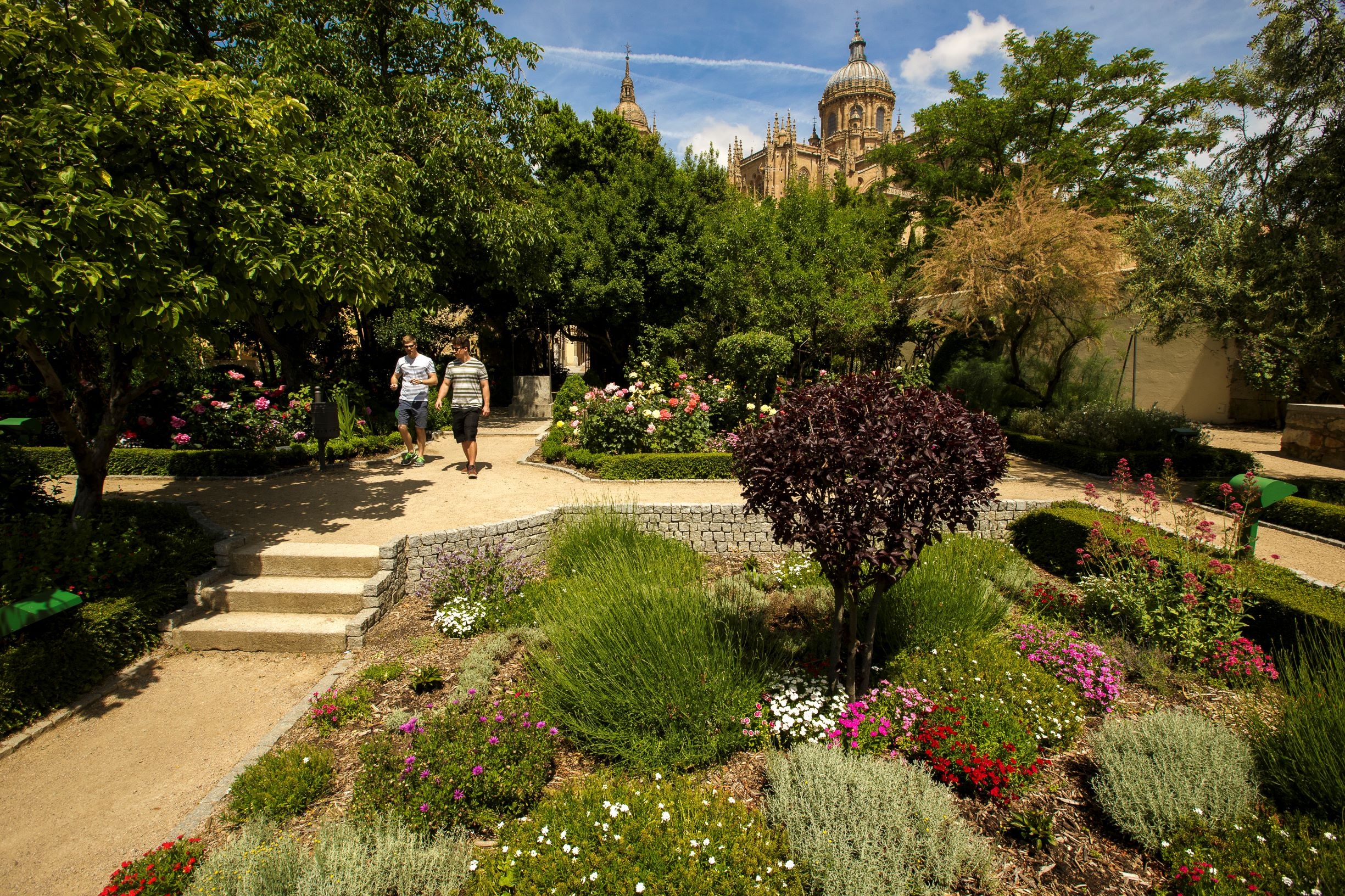 Mirador de la Celestina