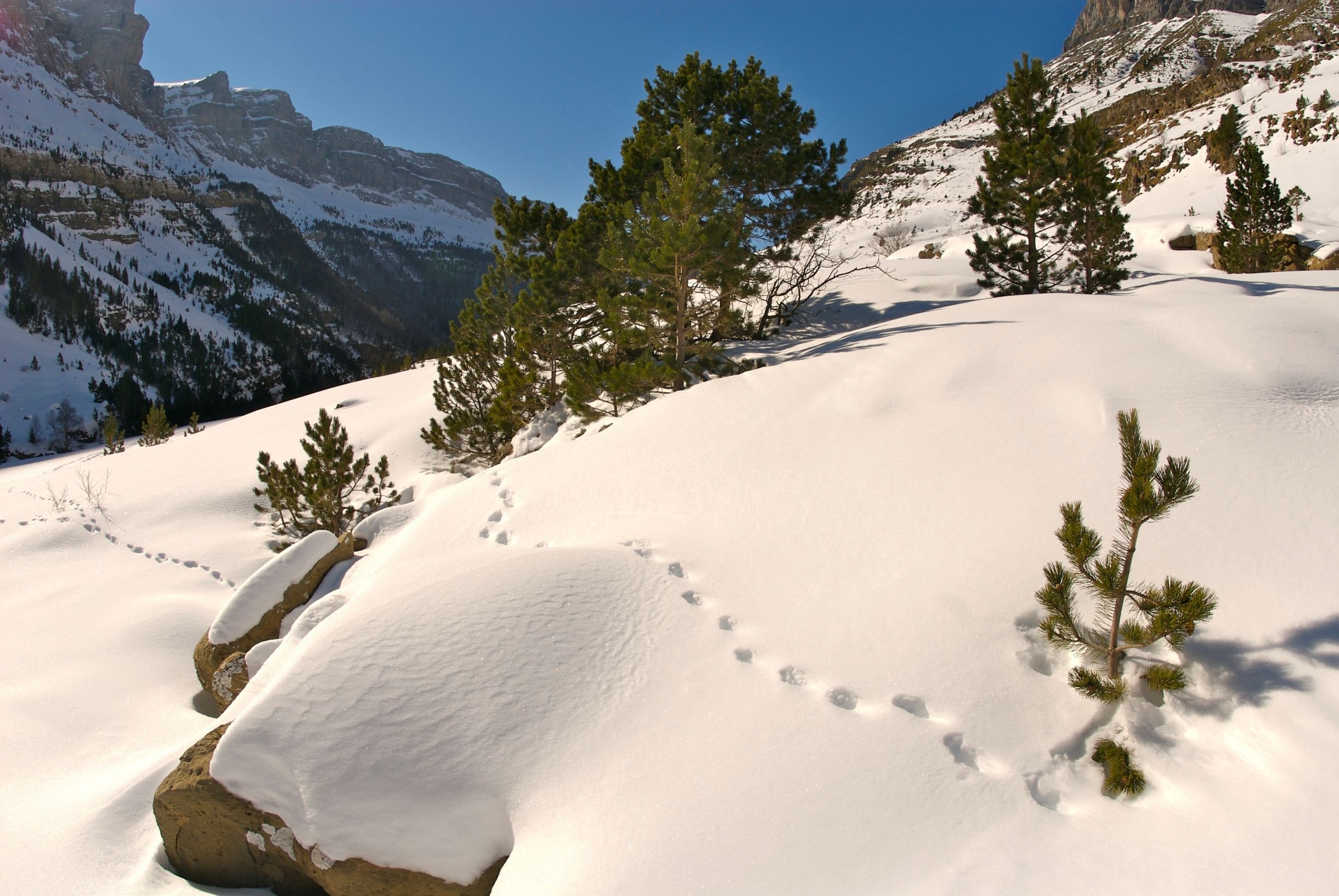 Im Nationalpark Ordesa y Monte Perdido