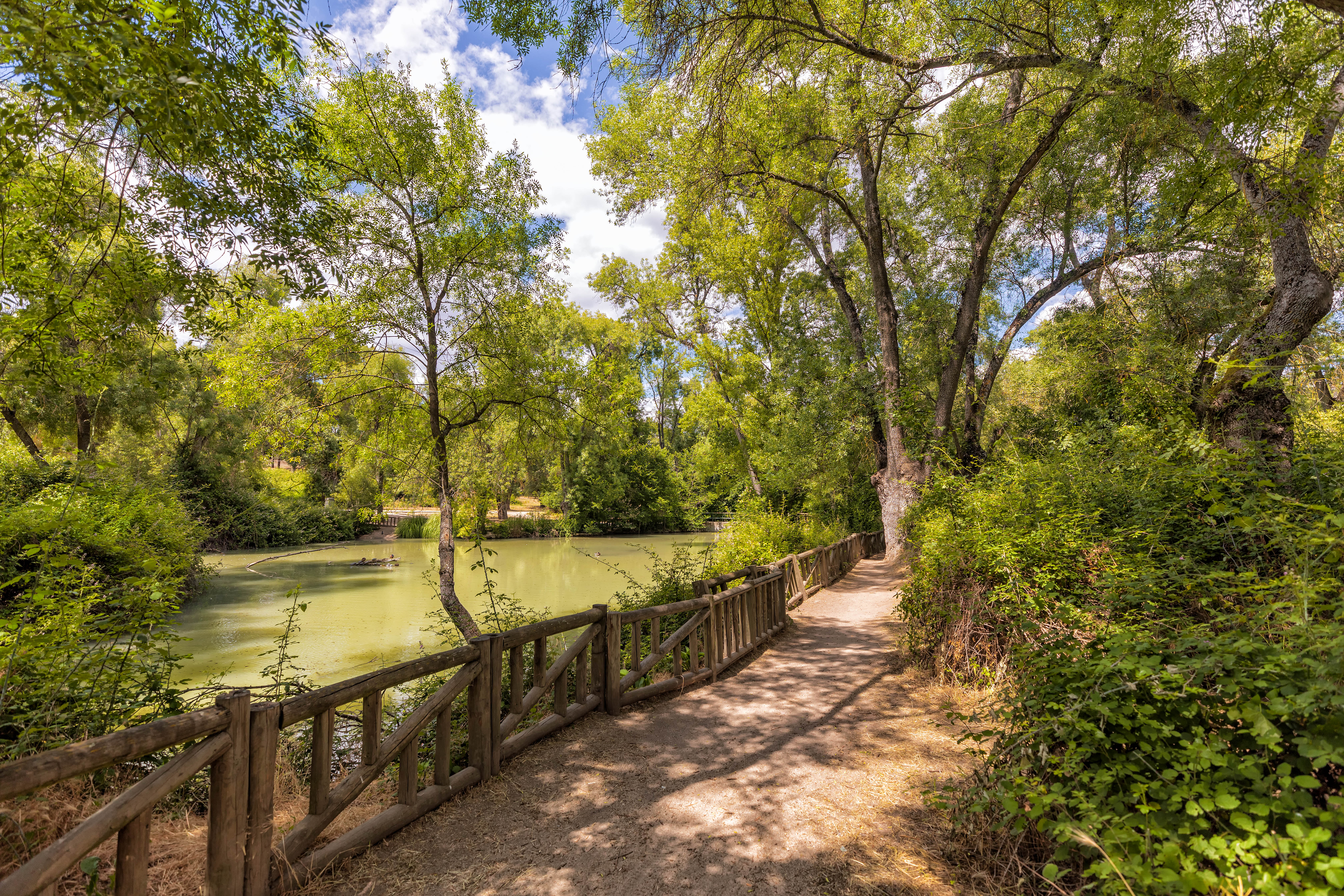 Estanque Arroyo Meaques - CASA DE CAMPO