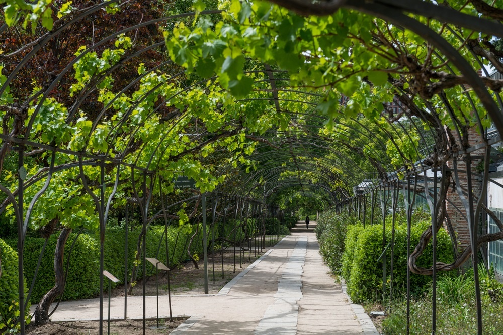 Real Jardin Botanico - Madrid Real Jardin Botanico - Madrid