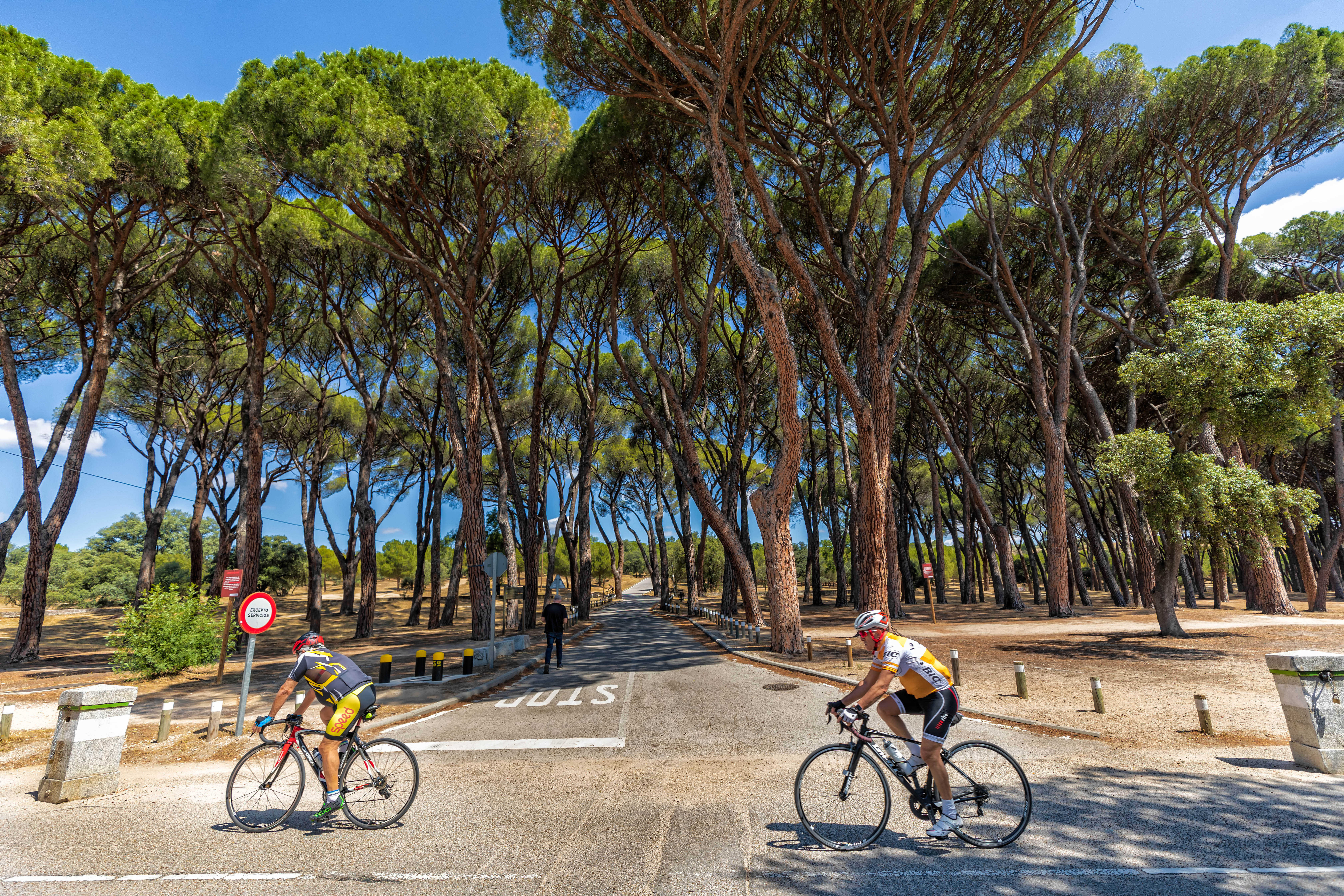 Pinar de las Siete Hermanas - Casa de Campo Pinar de las Siete Hermanas - Casa de Campo